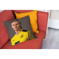 Pernă fotbal Erling Haaland
