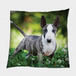 Pernă decorativă Bull Terier