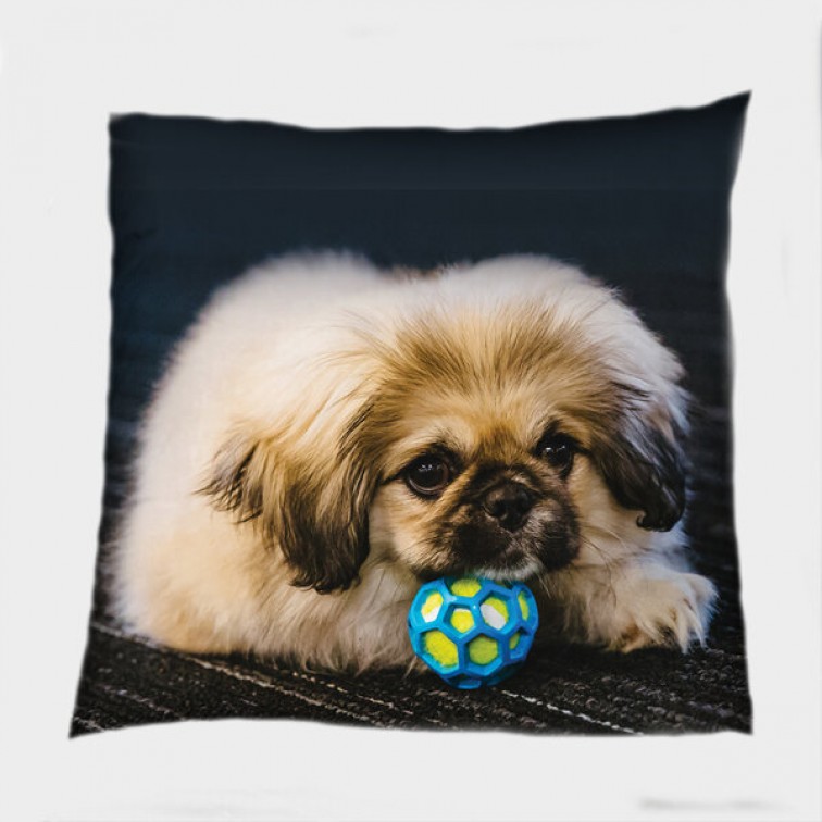 3D Pernă decorativă Pechinez - Pekingese