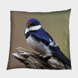 3D Pernă Deco Pasăre - Bird