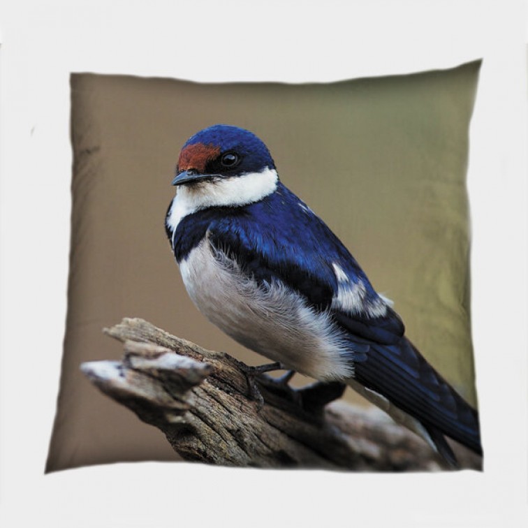 3D Pernă Deco Pasăre - Bird
