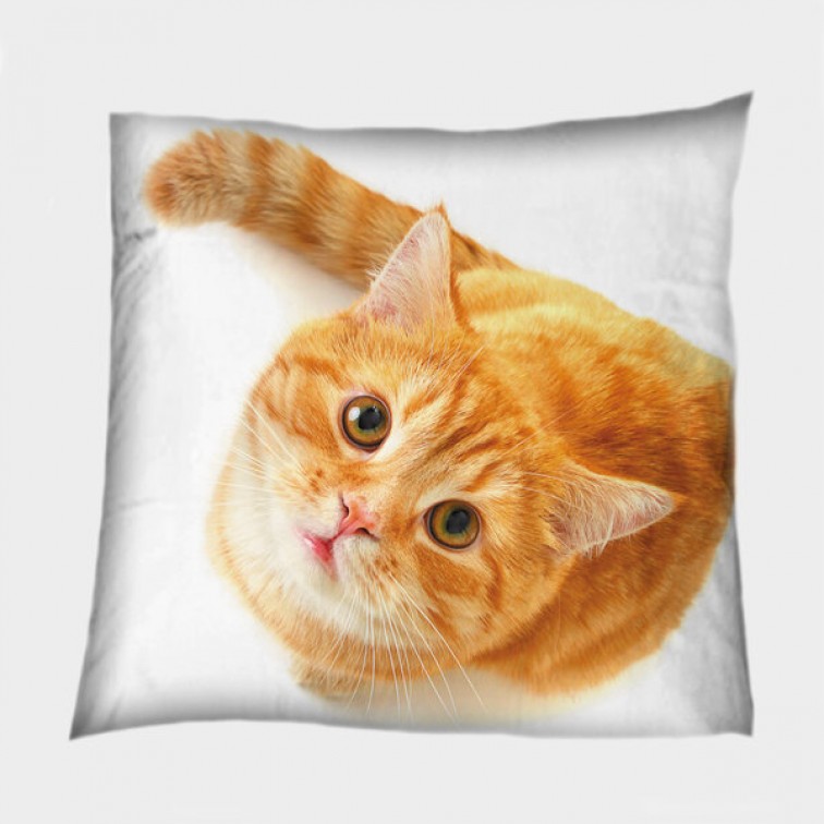 Pernă decorativă Pisică cu blăniță roșie - Red-haired Cat