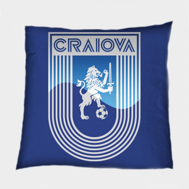 Perna decorativa Universitatea Craiova