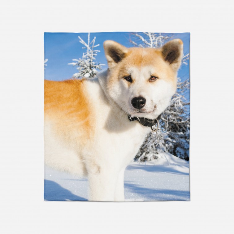 Pătură - Akita