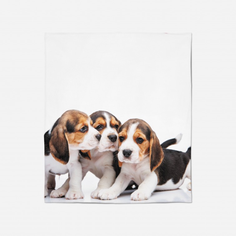 Pătură - Baby Beagle