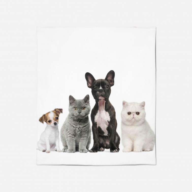 Pătură - Home Pets Pătură - Home Pets