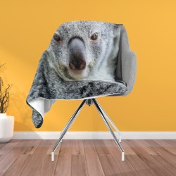 3D Pătură - Koala