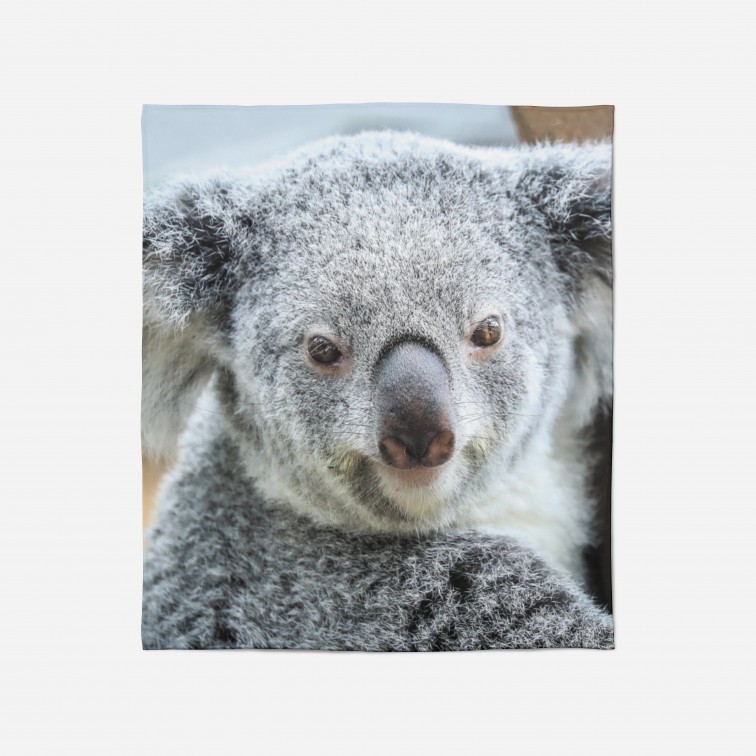 3D Pătură - Koala