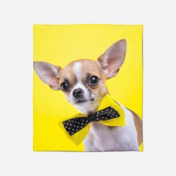 Pătură - Chihuahua dog