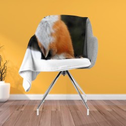 3D Pătură - Fox