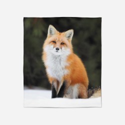 3D Pătură - Fox