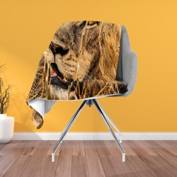 3D Pătură - Lion