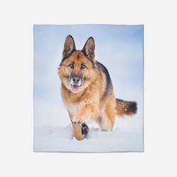 Pătură Ciobănesc german - Snow German Shepherd
