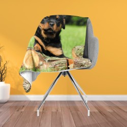 3D Pătură - Rottweiler Baby
