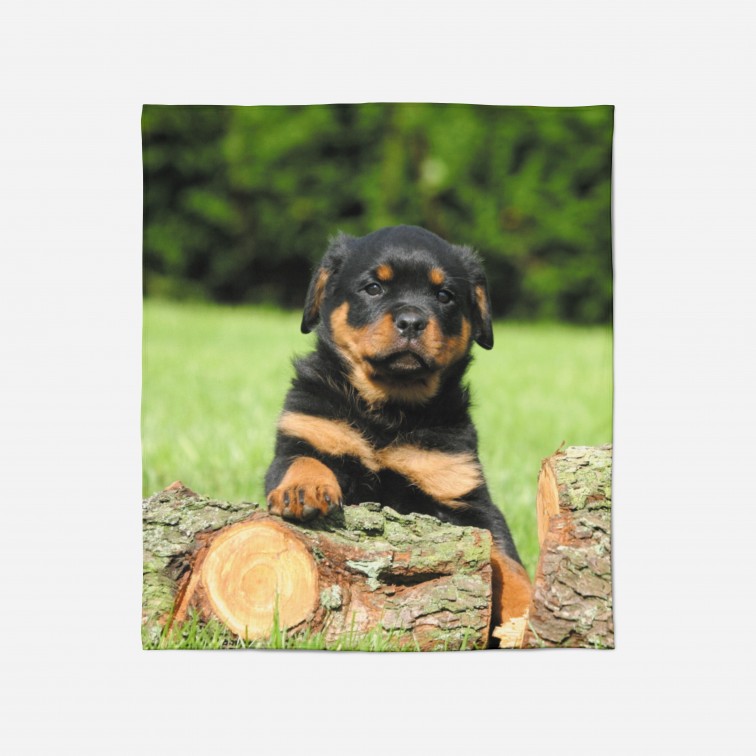 3D Pătură - Rottweiler Baby