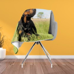3D Pătură - Rottweiler