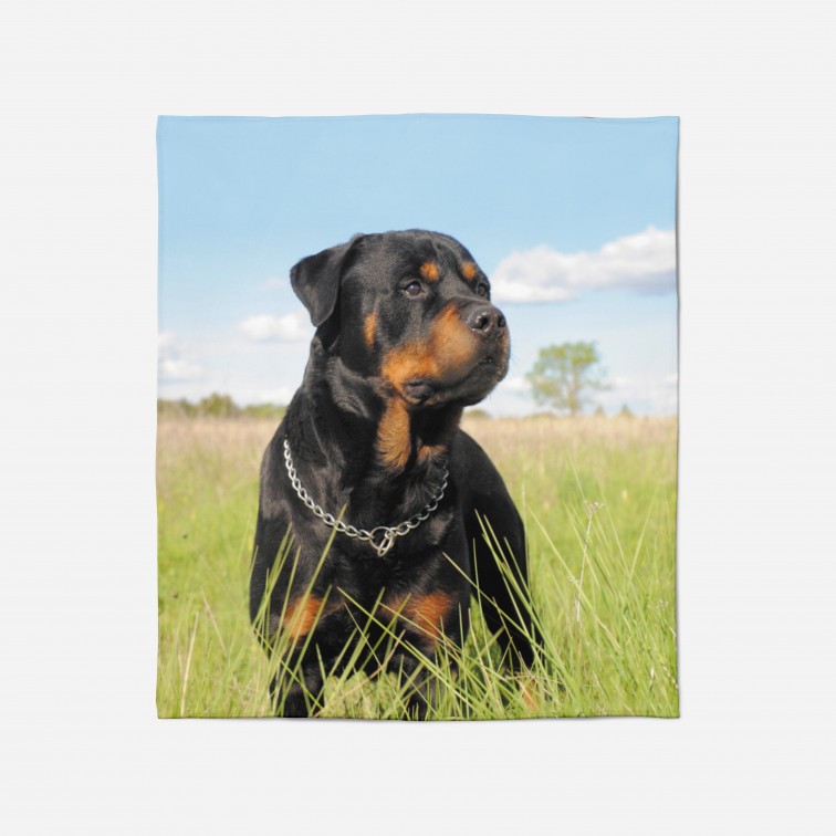 3D Pătură - Rottweiler