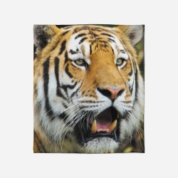 Pătură - Tiger