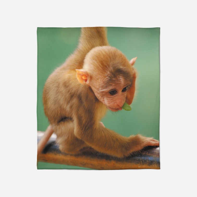 Pătură - Funny Monkey