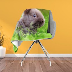 Pătură - Rabbit in The Grass
