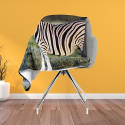 Pătură - Zebra