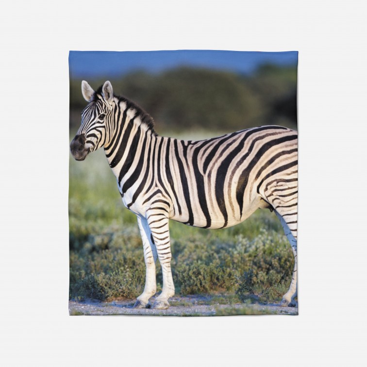 Pătură - Zebra