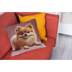 Perna fluffy orange Pomeranian
