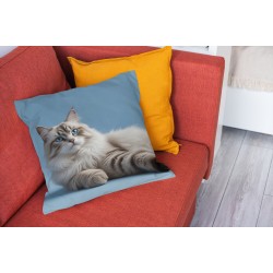 Perna serene ragdoll cat