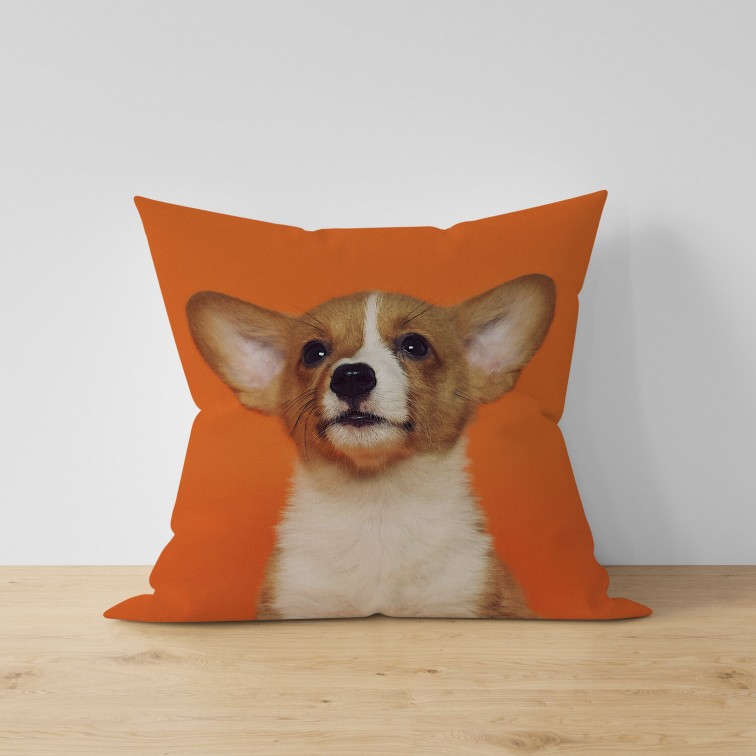Perna deco Baby Coated Dog Perna deco Baby Coated Dog