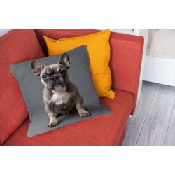 Perna Adorable French Bulldog