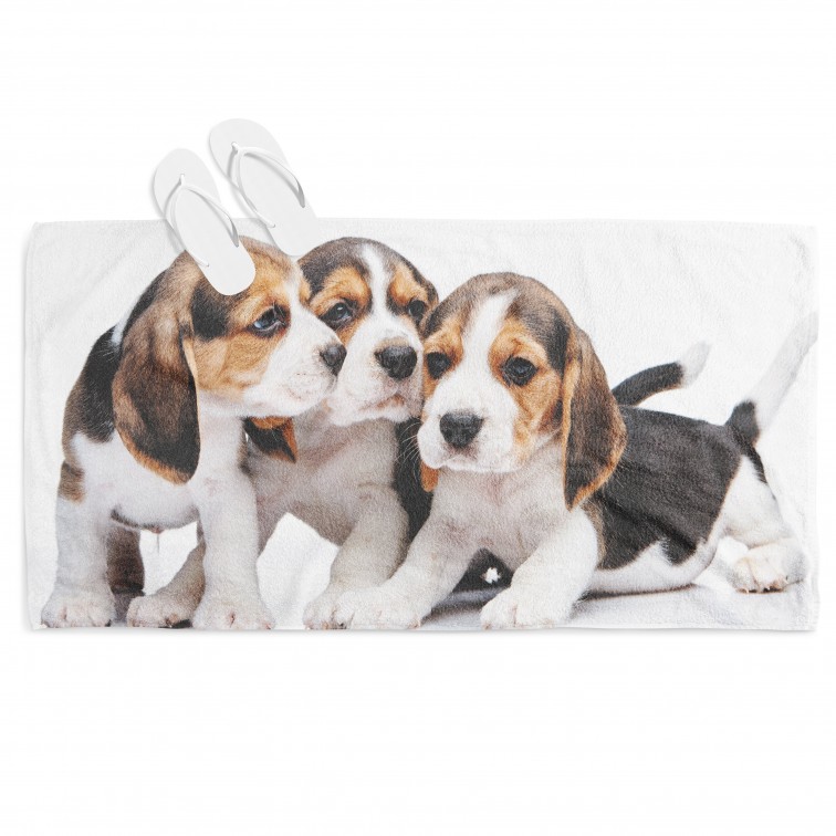 Prosop de plajă Beagle Babies