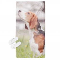 Prosop de plajă Beagle in the Wood