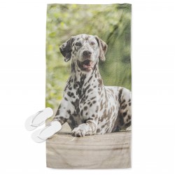 Prosop de plajă Dalmatian