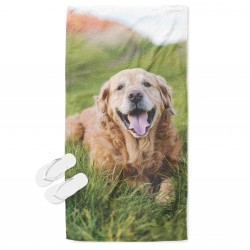 Prosop - Golden Retriever