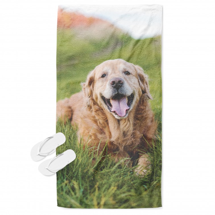 Prosop - Golden Retriever