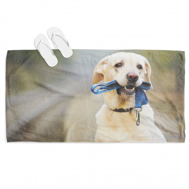 Prosop de plajă Labrador