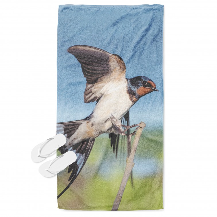 Prosop de plajă Rândunică - Swallow Prosop de plajă Rândunică - Swallow
