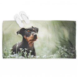 Prosop - Pinscher