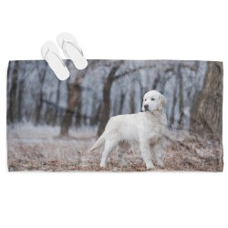 Prosop Akbash Dog