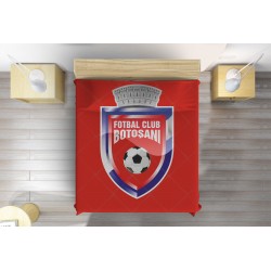 Cuvertura pat Botosani Fotbal Club