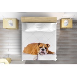 3D Cuvertură matlasată Bulldog englez - British Bulldog