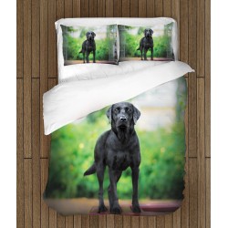 Lenjerie de pat Labrador negru- Black Labrador