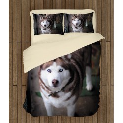 Set de pat impresionant cu Husky Siberian