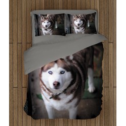 Set de pat impresionant cu Husky Siberian